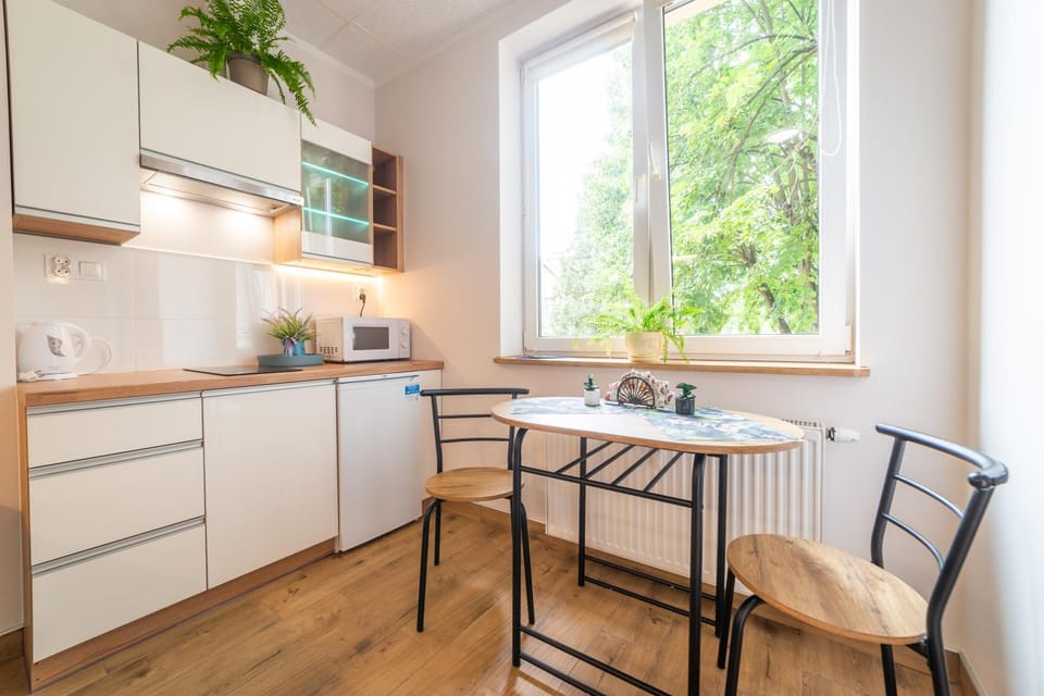 Kitchen or kitchenette, Dining area, stove