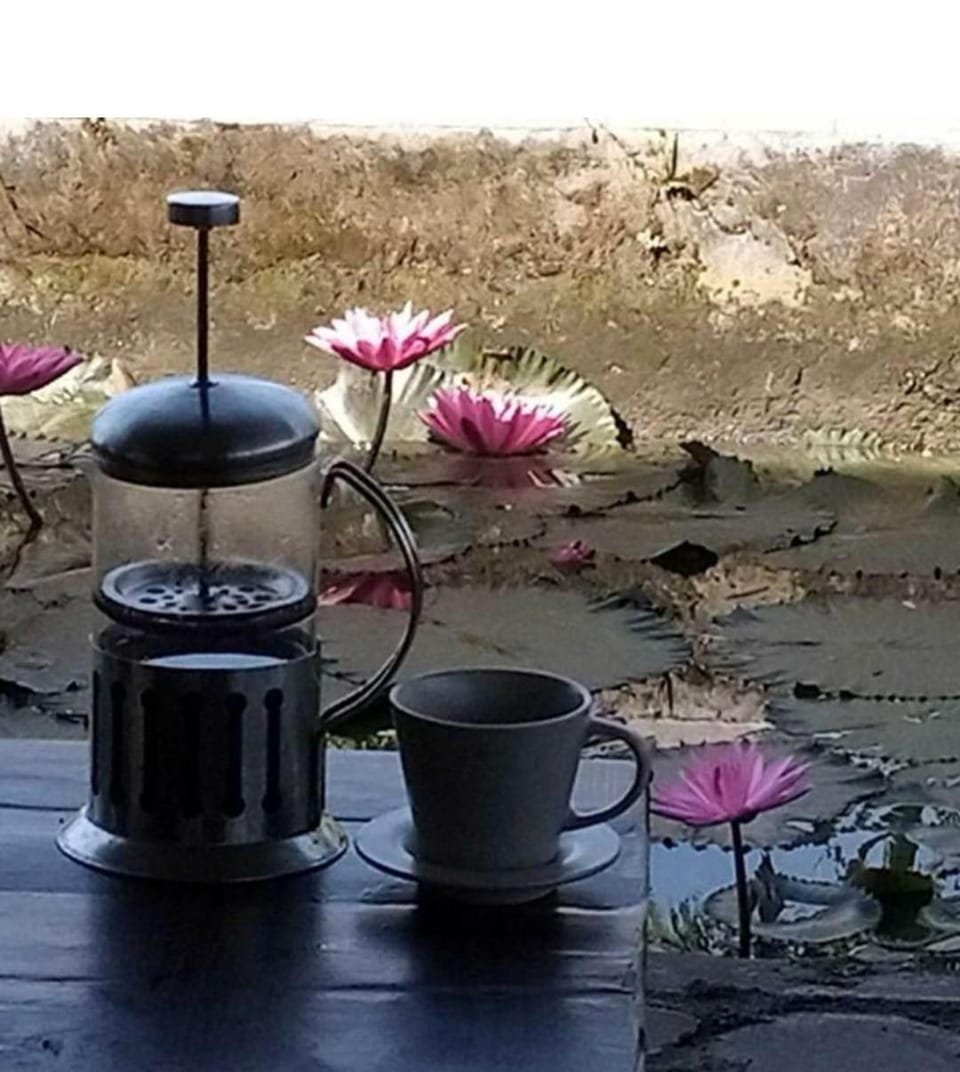 Bujak Permai Villa Kangkung Bed and Breakfast in West Nusa Tenggara, Indonesia