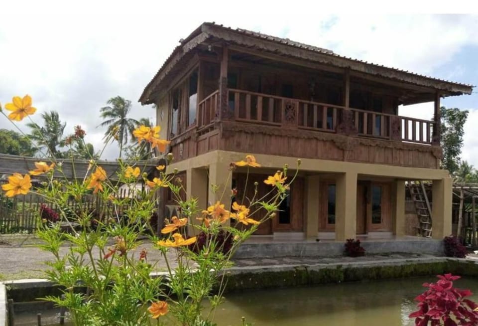Bujak Permai Villa Kangkung Bed and Breakfast in West Nusa Tenggara, Indonesia