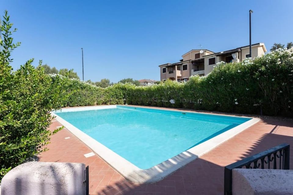 Day, Pool view, Swimming pool, sunbed