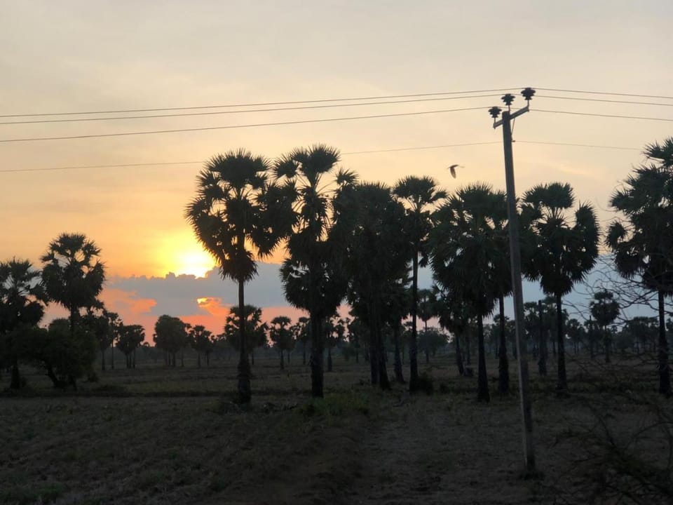 Natural landscape, Sunset