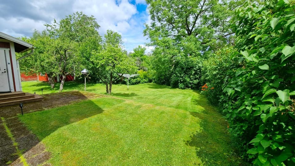 Day, Garden, Garden view