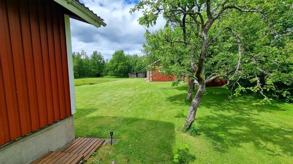 Natural landscape, Garden, Garden view