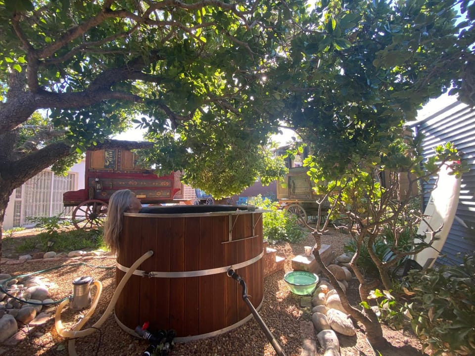 Garden, Hot Tub, Garden view