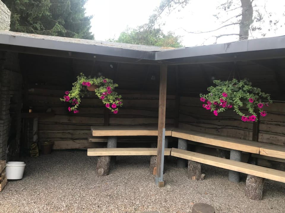 Day, Garden, Garden view