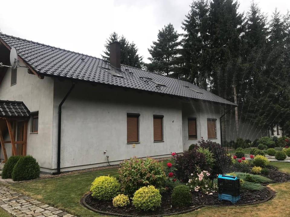 Property building, Spring, Day