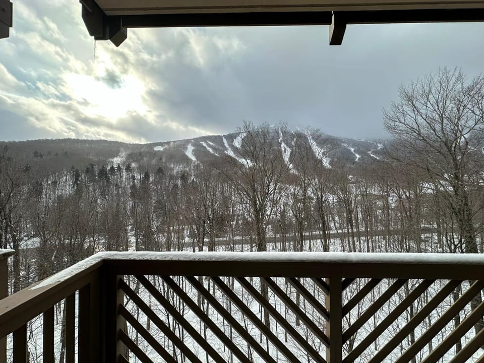 1315 - Studio - Lodge At Spruce - Stowe Mt Resort - Ski in Ski out - Sleeps 4 Resort in Stowe