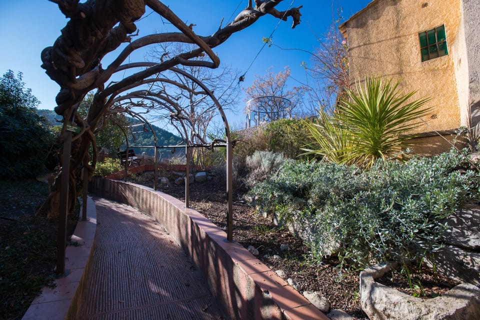 Garden view
