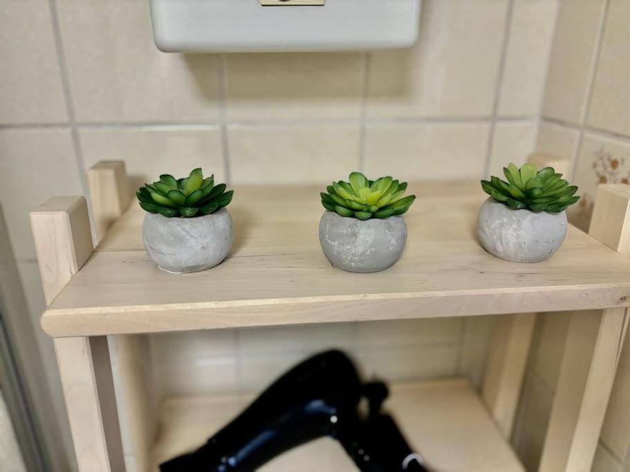 Auszeit am Rhein 2 - Rhinelove Apartment in Boppard