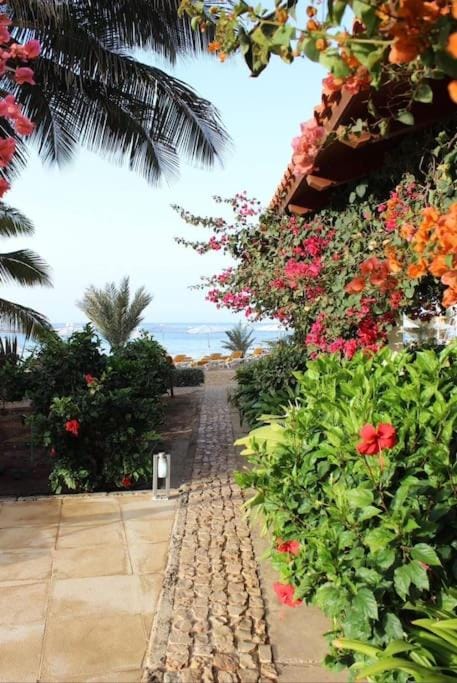 Oceanfront Apt 25 Porto Antigo II Apartment in Santa Maria