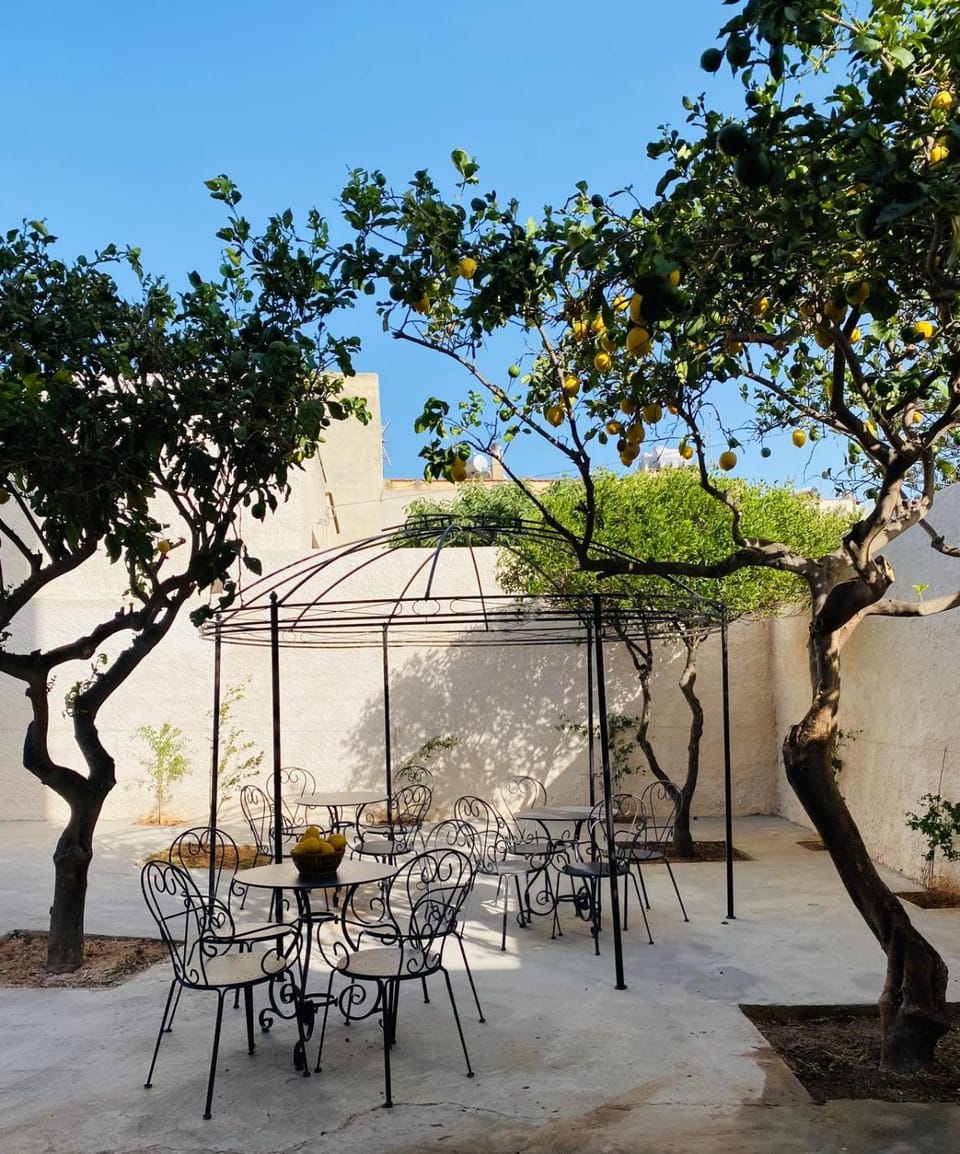 Patio, Spring, Garden, Dining area, Garden view