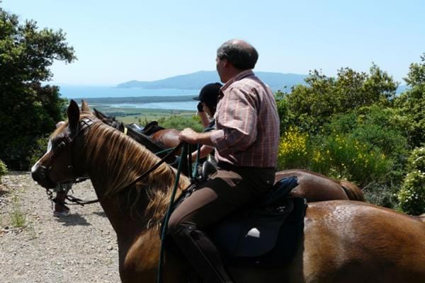 Horse-riding, Horse-riding