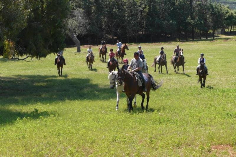 Horse-riding, Hiking