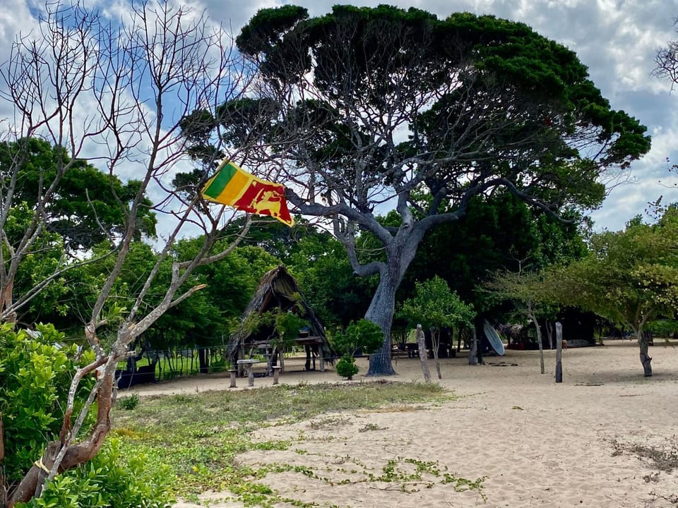 Day, Natural landscape, Garden, Beach