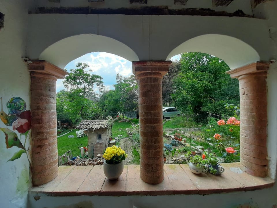 Garden view