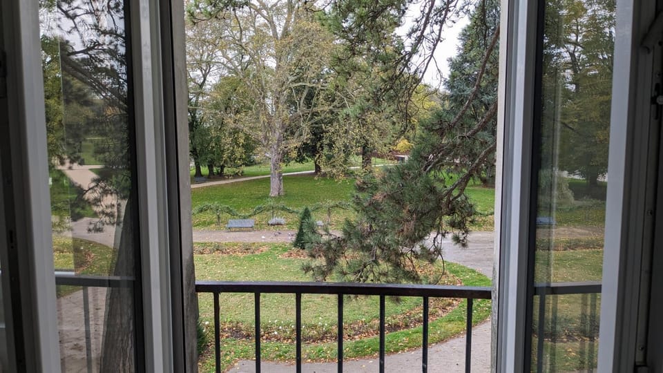 Garden, Garden view