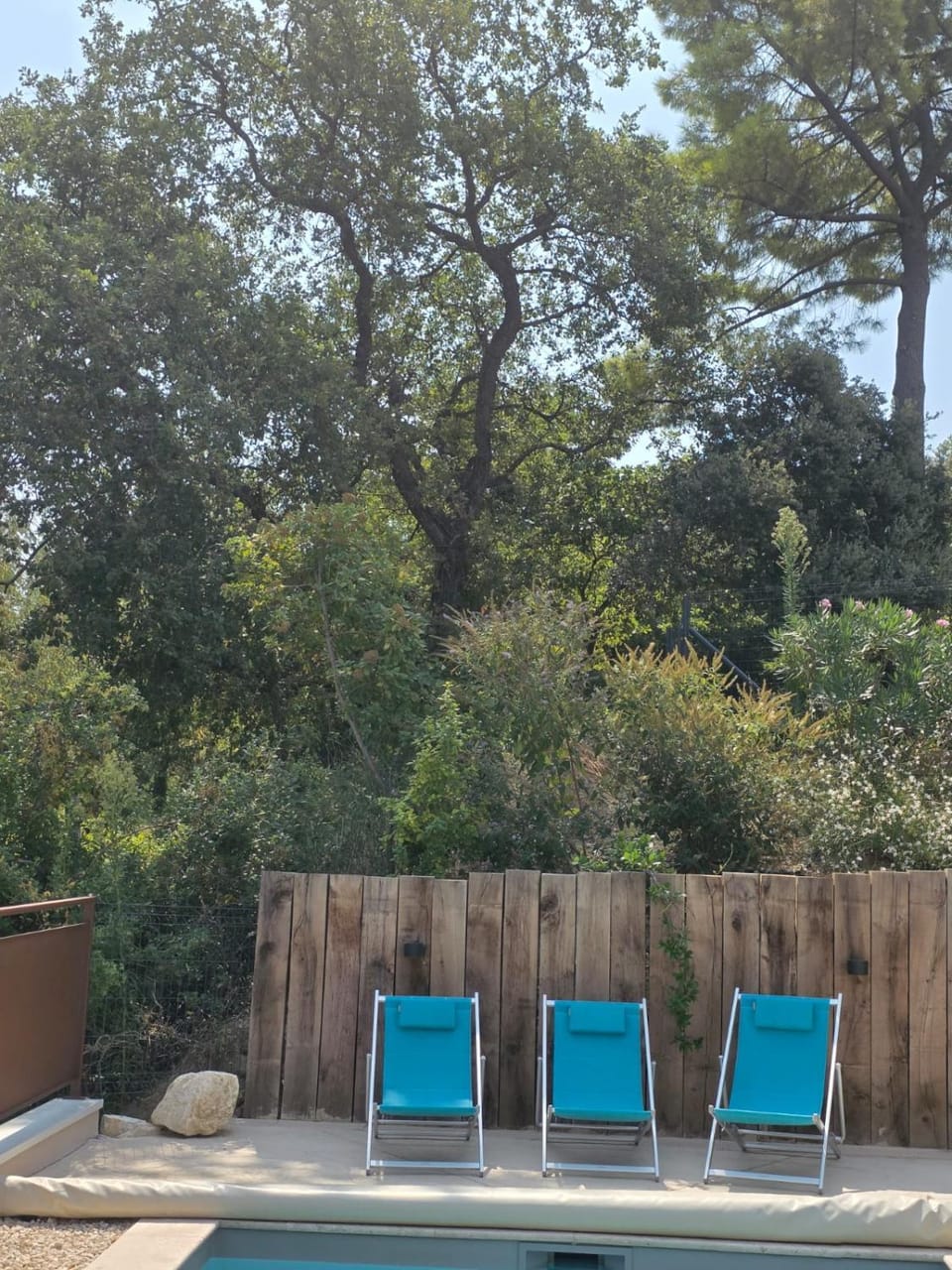 Natural landscape, Swimming pool, sunbed