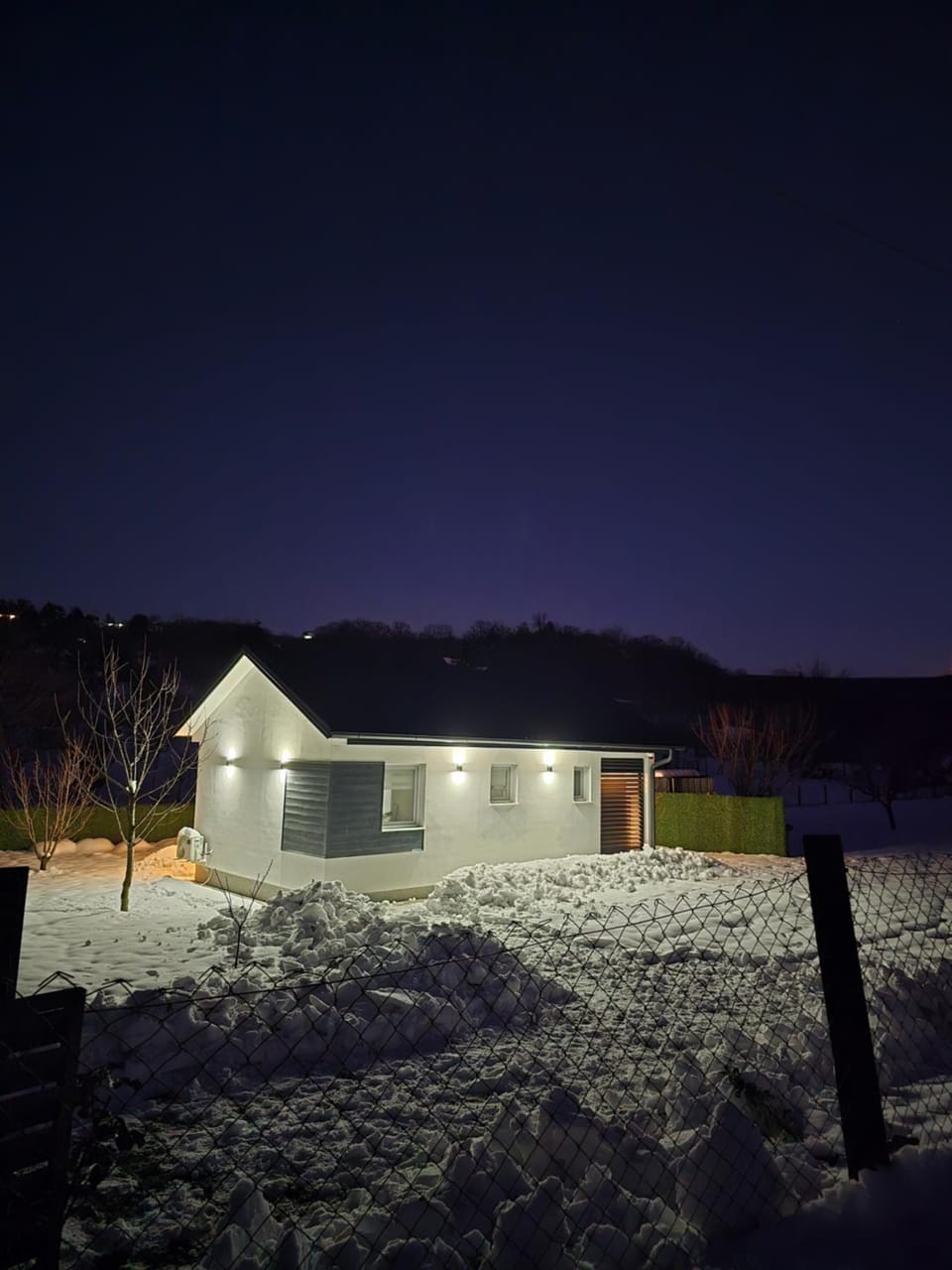 Night, Winter, Garden view