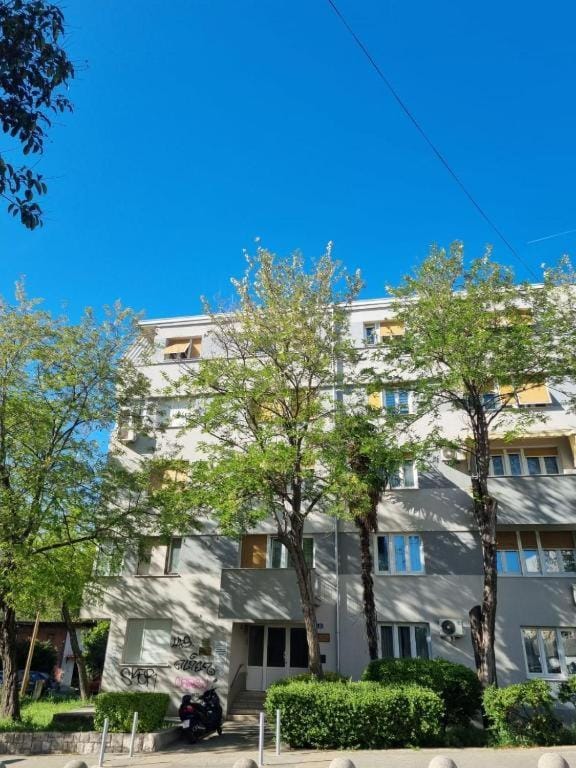 Property building, Spring