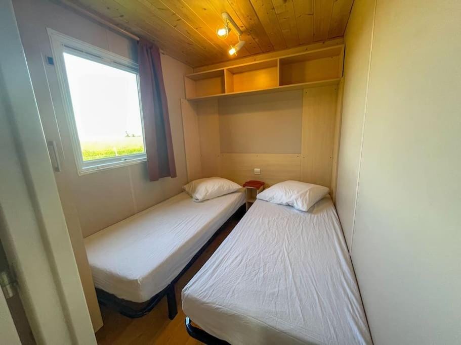 Bungalow - La Petite Sibérie - Nature - Familial Chalet in Auvergne-Rhône-Alpes