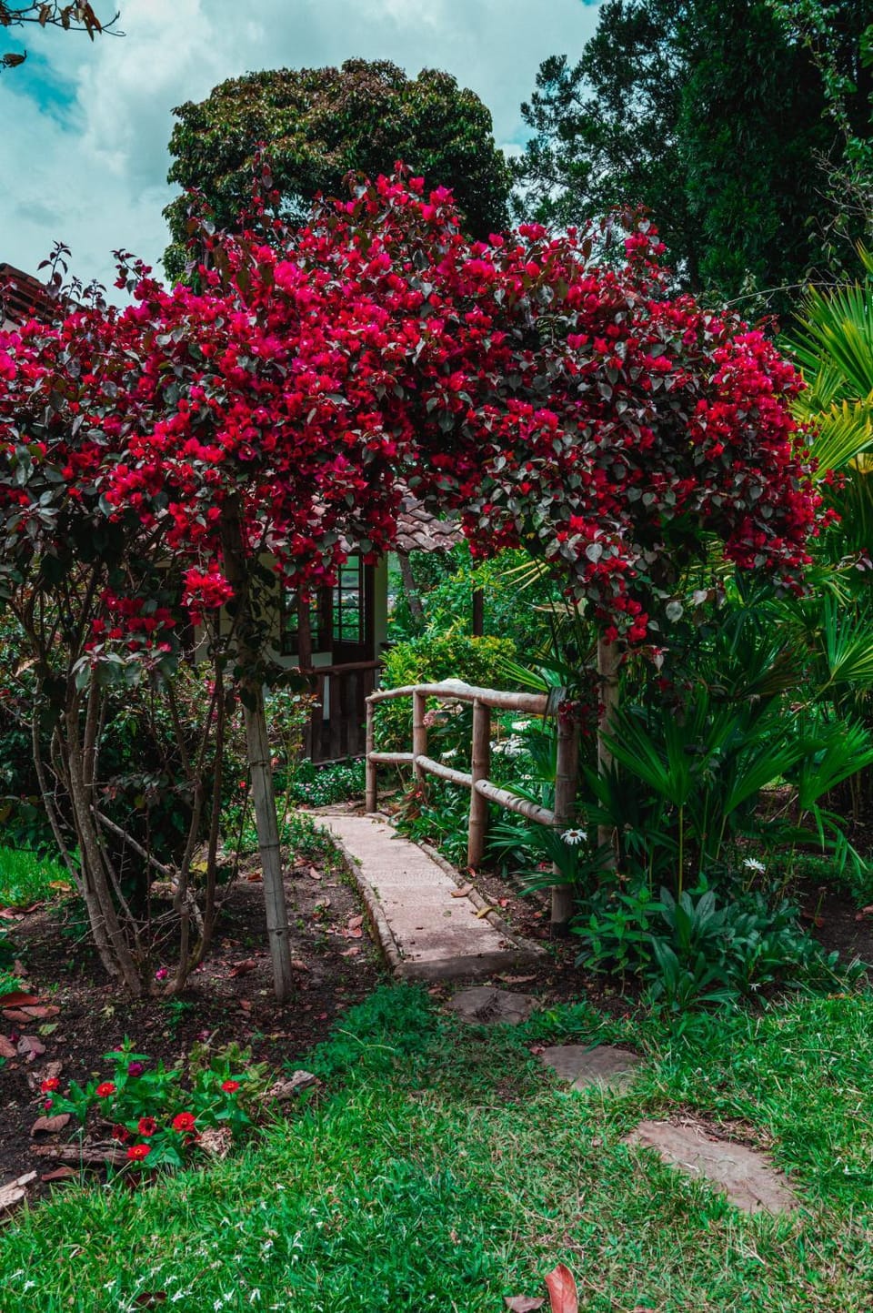 Garden, Garden