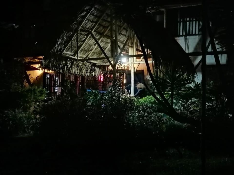 Garden, Balcony/Terrace