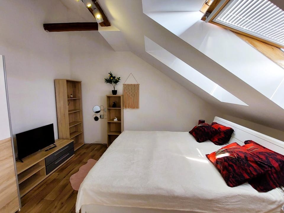 Bed, TV and multimedia