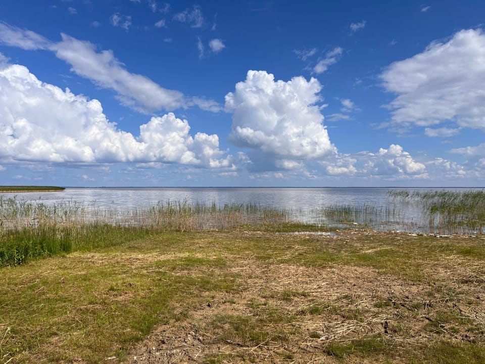 Lake view