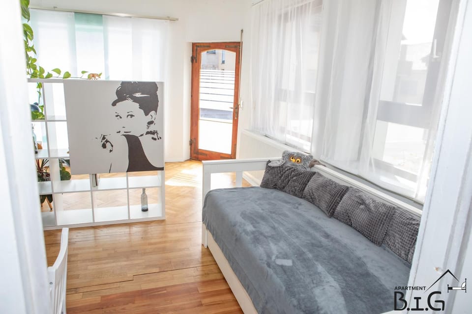 Bed, Photo of the whole room, Seating area, kitchen