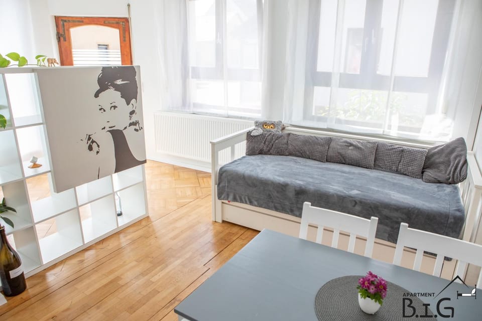Bed, Photo of the whole room, Seating area, kitchen