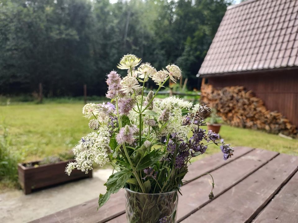 Day, Garden view