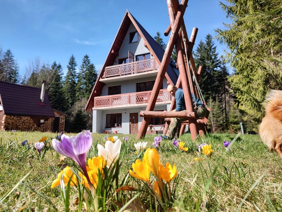 Property building, Spring
