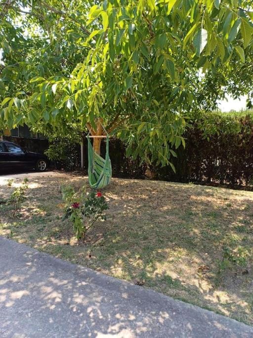 George house House in Halkidiki