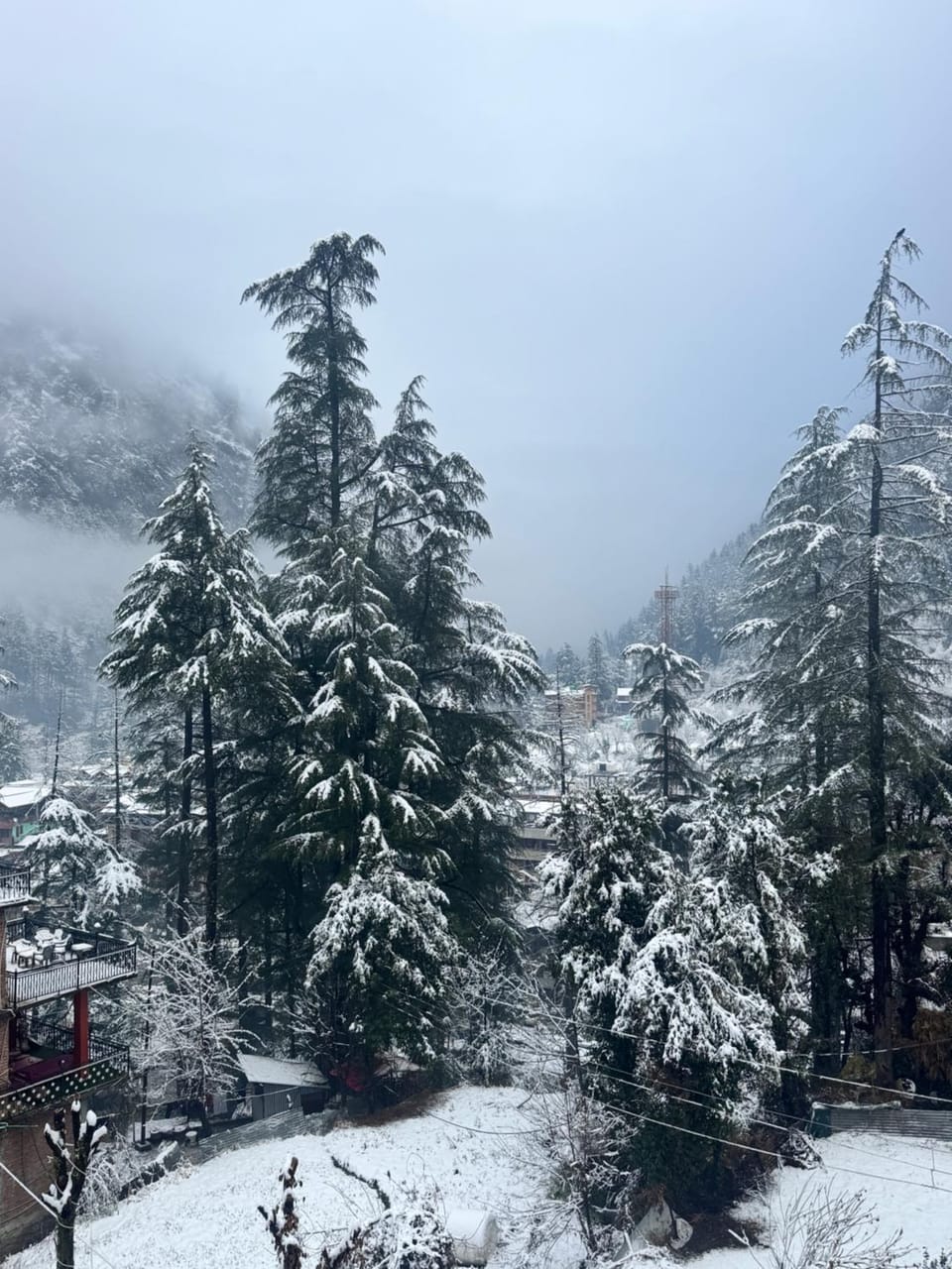 Delight Homestay Bed and Breakfast in Himachal Pradesh
