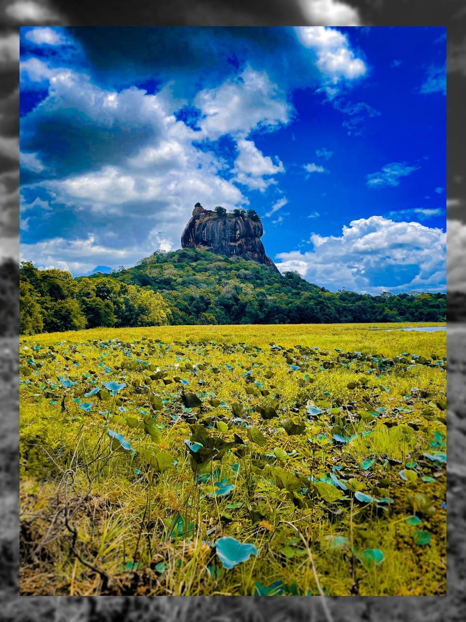 Natural landscape