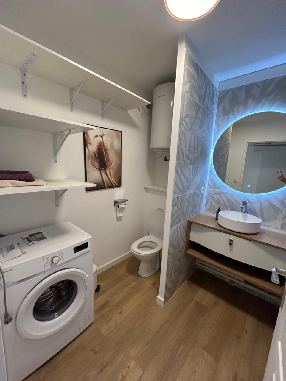 Toilet, Bathroom, washing machine
