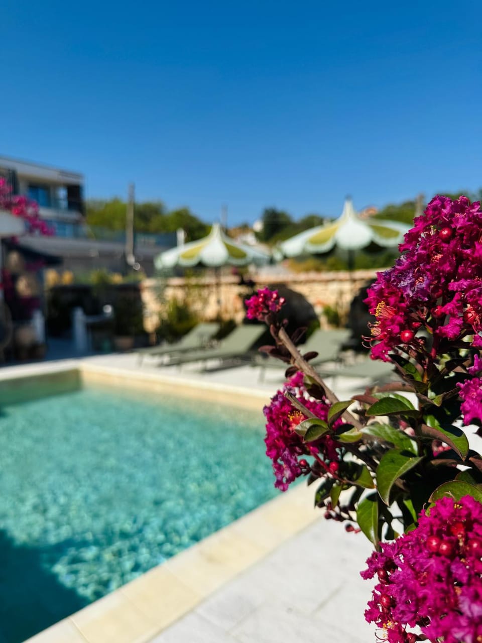 Day, Garden, Garden view, Pool view, Swimming pool
