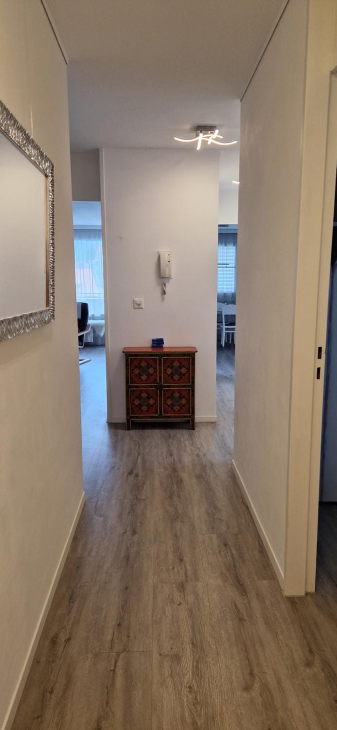 Tolle zentrale Wohnung Apartment in Nidwalden