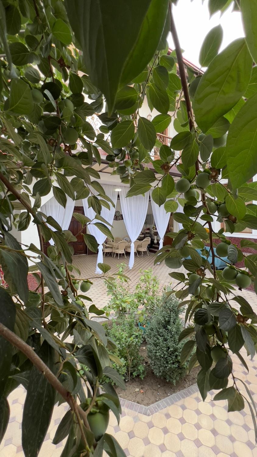 Spring, Day, Garden, Garden view