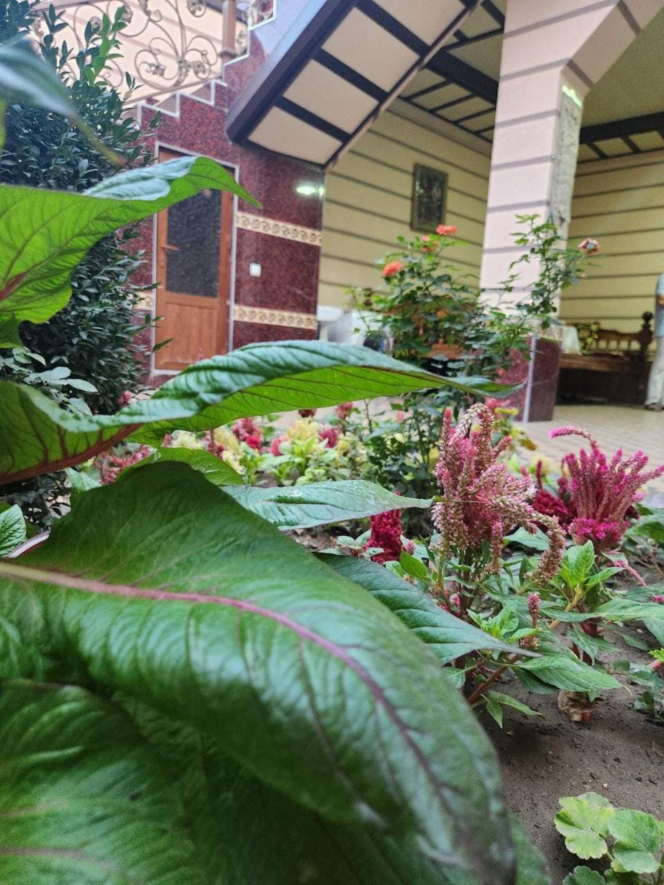Day, Garden, Garden view