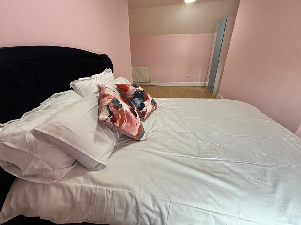 Cozy Pink House Fairview 6 Beds Apartment in Dublin