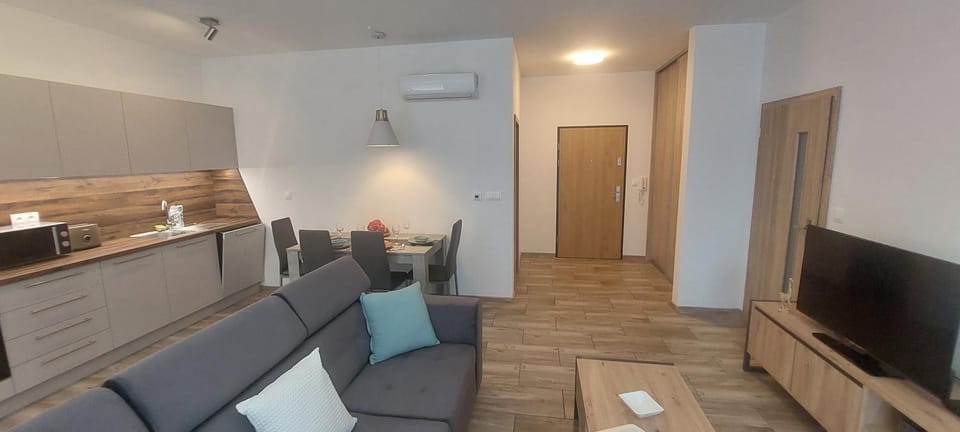 Communal lounge/ TV room, TV and multimedia, Kitchen or kitchenette, Seating area, Dining area, oven, stove, air conditioner