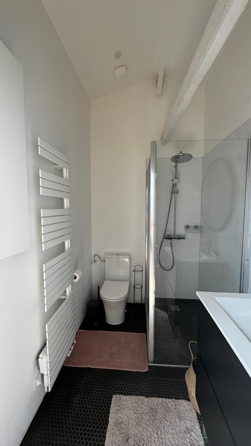 Maison Cosy - Maison de Maitre Vacation rental in Lille