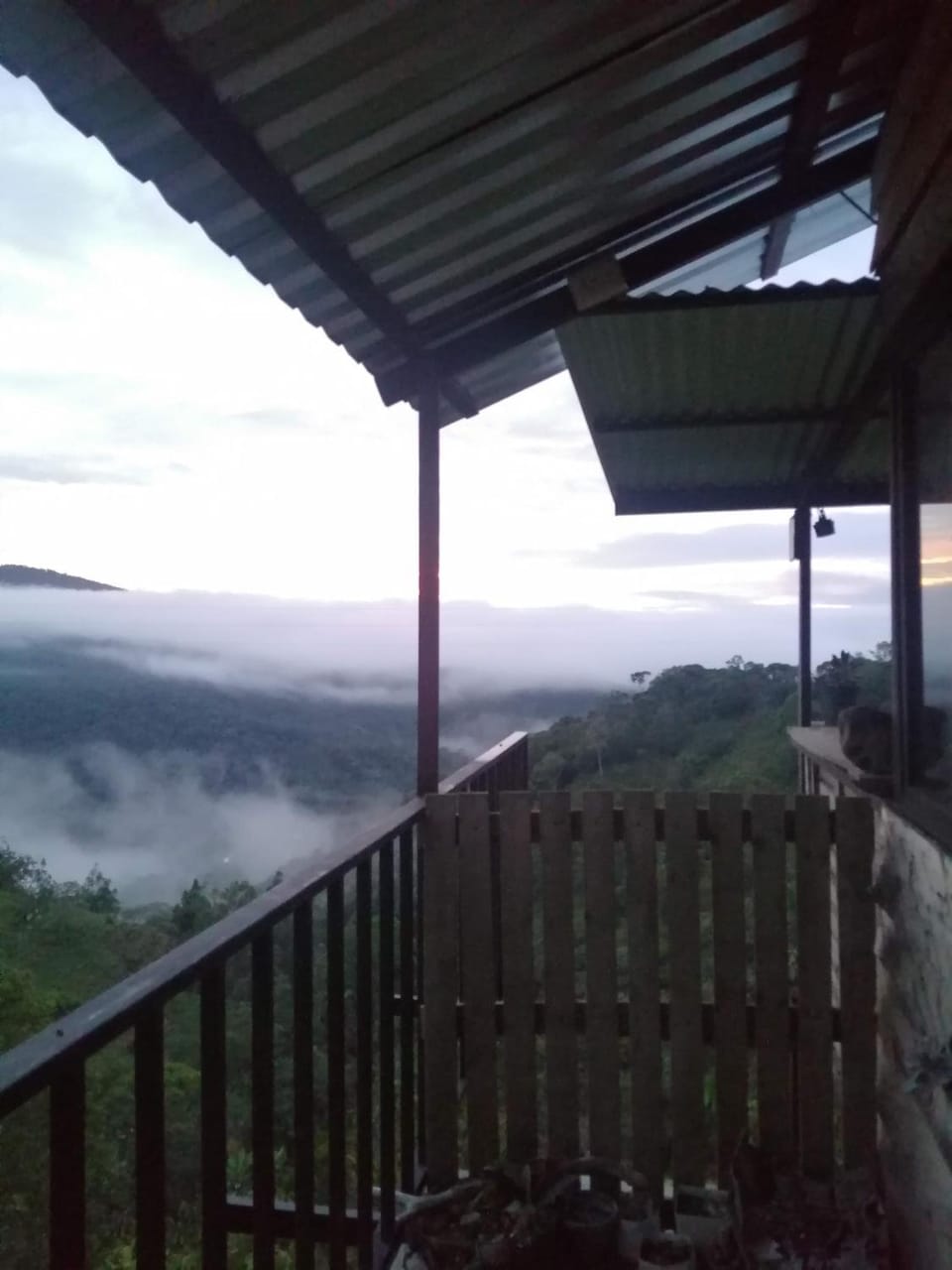 Mountain view