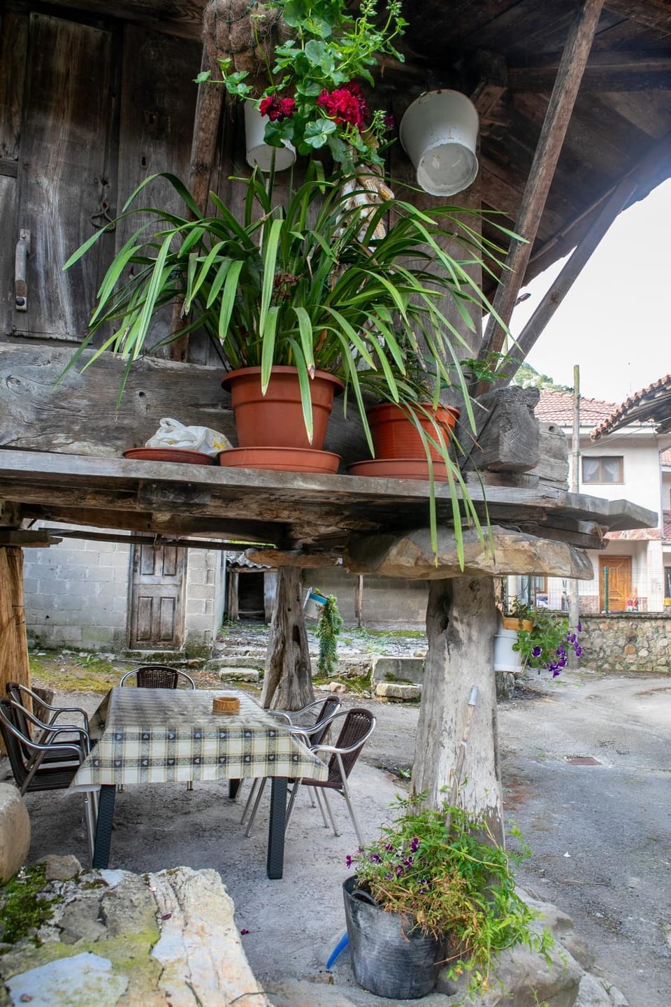 Patio, View (from property/room)