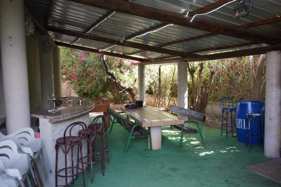 Patio, Garden, Garden view