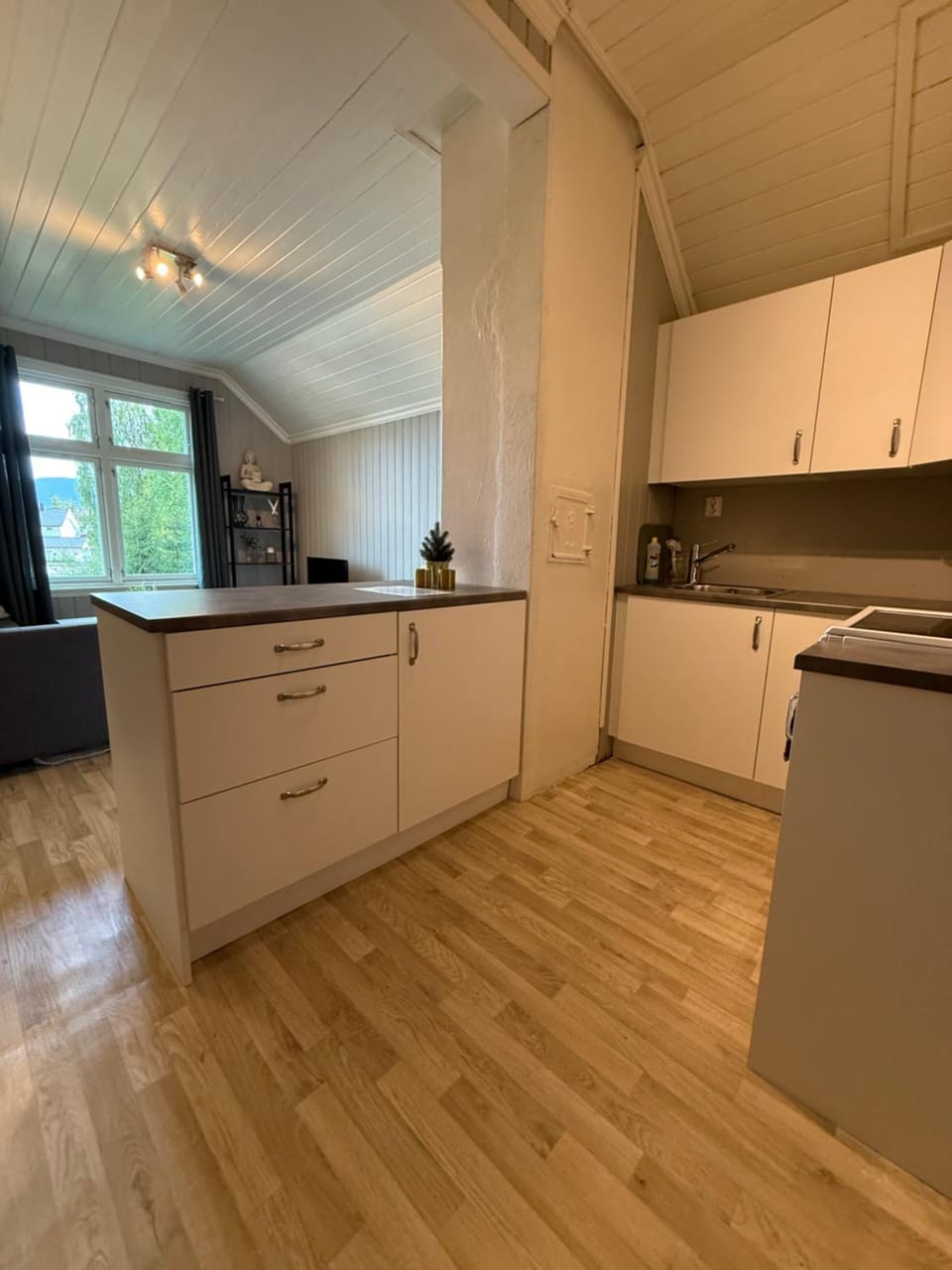 Kitchen or kitchenette