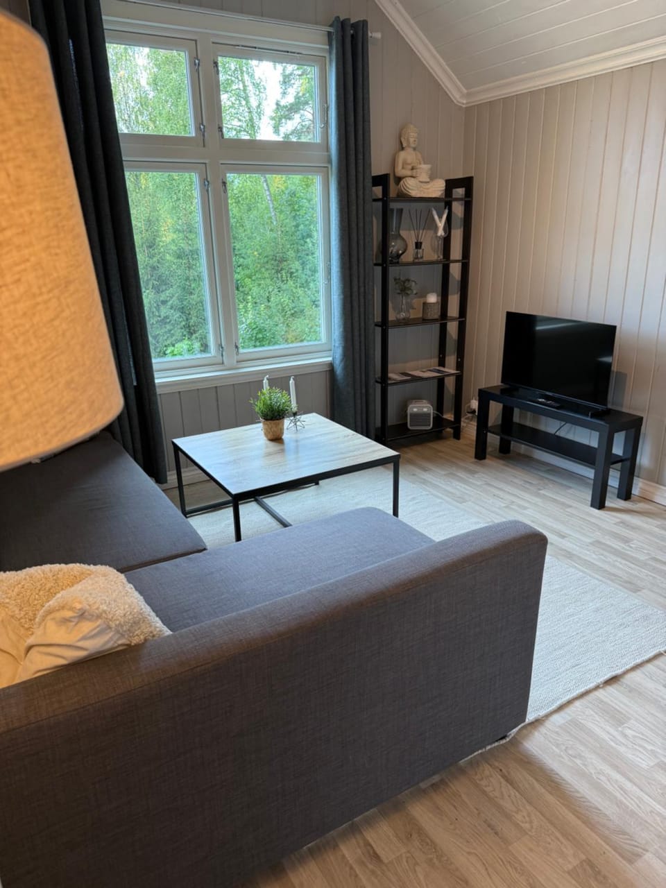 TV and multimedia, Living room