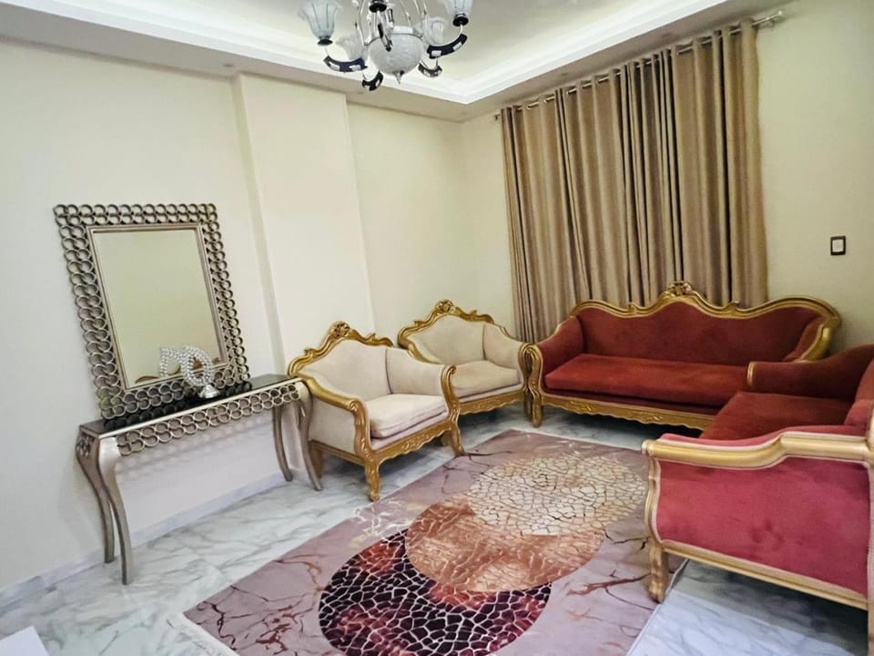 شقة فندقية vip برج رئيسي شارع الغشام مع موقف المنصورة Apartment in Egypt