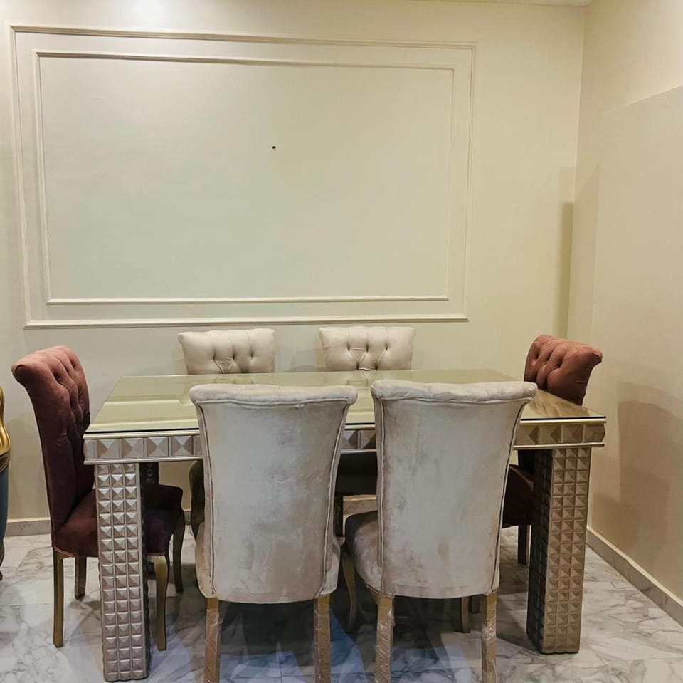 شقة فندقية vip برج رئيسي شارع الغشام مع موقف المنصورة Apartment in Egypt